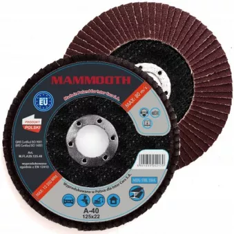 Disques de meulage MAMMOOTH M.FLA29.125.40/B