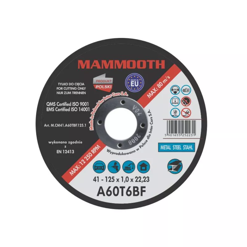 Disques à tronçonner MAMMOOTH M.CM41.A60TBF.125.1/B