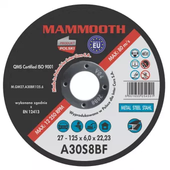Disques de meulage MAMMOOTH