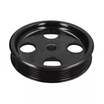 Poulie de pompe de direction assistée DORMAN 300-148