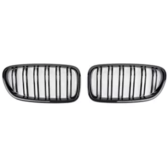 Enjoliveur, grille de radiateur SPEEDMAX FS 05-10-01