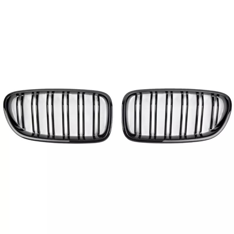 Enjoliveur, grille de radiateur SPEEDMAX FS 05-10-01
