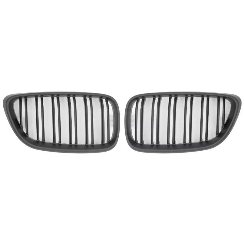 Enjoliveur, grille de radiateur SPEEDMAX FS 02-22-02