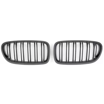 Enjoliveur, grille de radiateur SPEEDMAX FS 05-10-02
