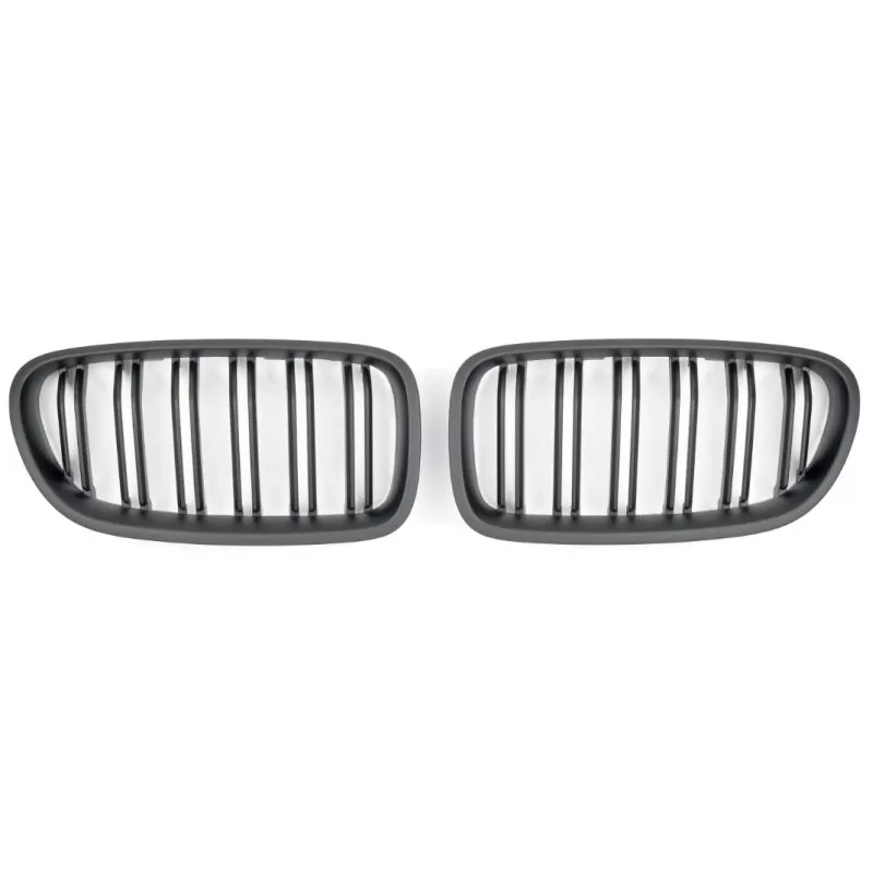 Enjoliveur, grille de radiateur SPEEDMAX FS 05-10-02