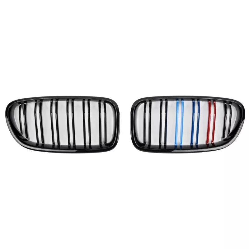 Enjoliveur, grille de radiateur SPEEDMAX FS 05-10-03