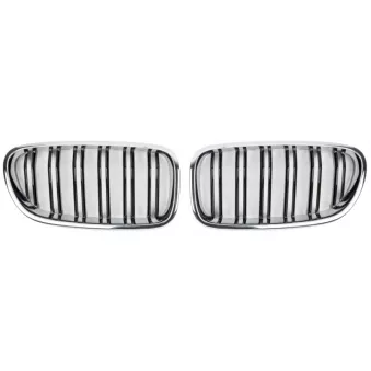 Enjoliveur, grille de radiateur SPEEDMAX FS 05-10-04