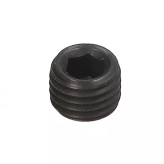 Pièces de fixation de l'axe de culbuteur VOITH H68.217410