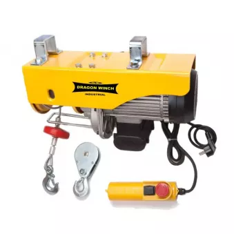 Treuil électrique DRAGON WINCH I125/250