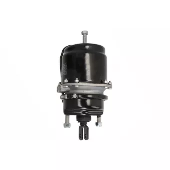 Cylindre de roue SBP 05-BCT20/24-W03