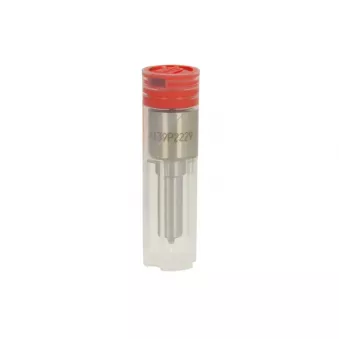 Nez d'injecteur WUZETEM PDLLA139P2229