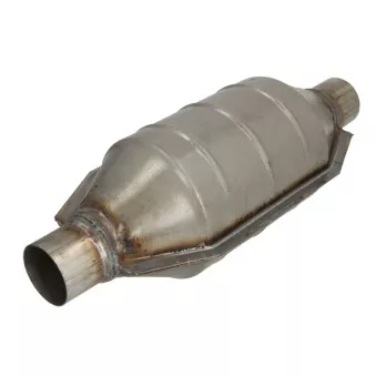 Catalyseur JMJ 02-50ST