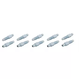 Purgeur de frein WP 5-300-0010/10