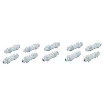 Purgeur de frein WP 5-300-0018/10