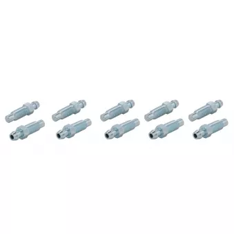 Purgeur de frein WP 5-300-0089/10