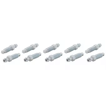 Purgeur de frein WP 5-300-0011/10