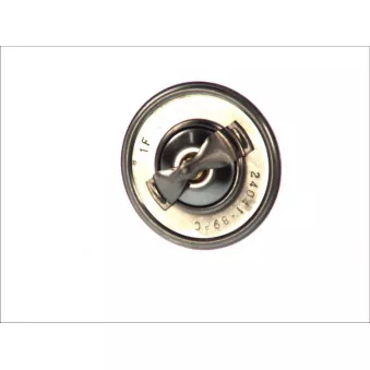Thermostat d'eau 4MAX 24041.89
