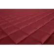 Tapis de tableau de bord F-CORE FD08 RED - Visuel 2