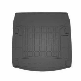 Tapis de coffre FROGUM TM405165