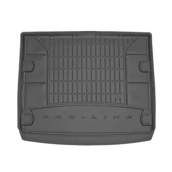 Tapis de coffre FROGUM TM404564