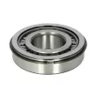 Attachement, transmission manuelle EURORICAMBI 98530448 - Visuel 1