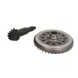 Couple conique/set pignons coniques EURORICAMBI 70170394 - Visuel 2