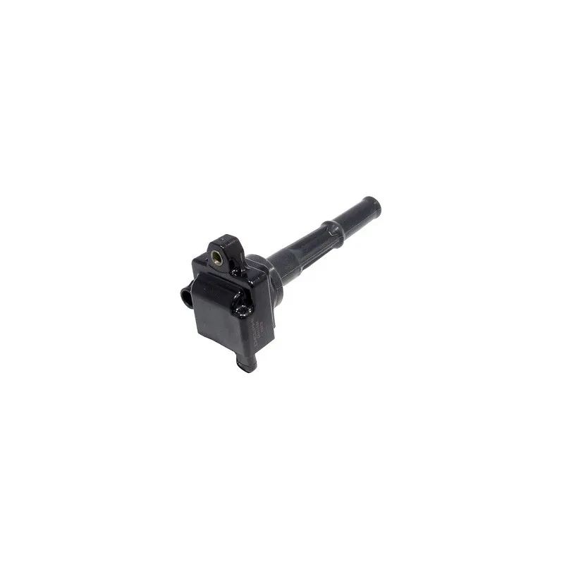 Bobine d'allumage DELPHI GN10299-12B1