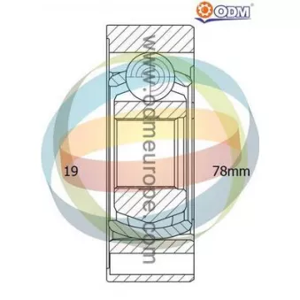 Joint, arbre longitudinal ODM-MULTIPARTS 12-156004