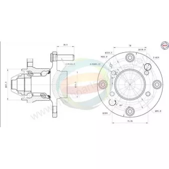Roulement de roue arrière ODM-MULTIPARTS 70-000016