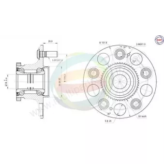 Roulement de roue arrière ODM-MULTIPARTS 70-040094