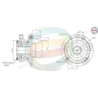 Roulement de roue avant ODM-MULTIPARTS 70-070023