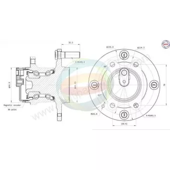 Roulement de roue arrière ODM-MULTIPARTS 70-080143