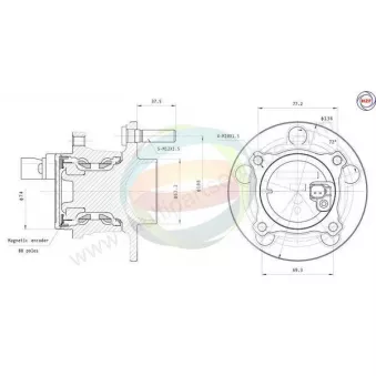 Roulement de roue arrière ODM-MULTIPARTS 70-150025