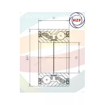Roulement de roue avant ODM-MULTIPARTS 70-290005