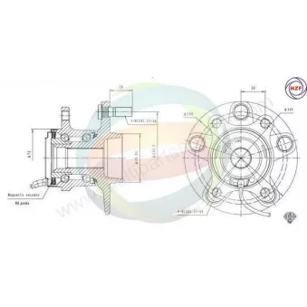 Roulement de roue arrière ODM-MULTIPARTS 70-350091