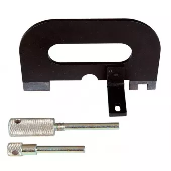 Piges de calage moteur HP ZUP 905 100 00