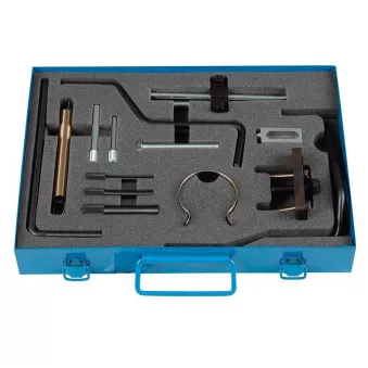 Piges de calage moteur HP ZUP 905 800 00
