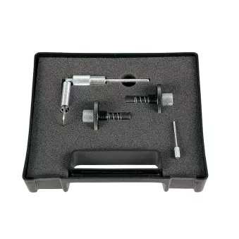 Piges de calage moteur HP ZUP 904 019 00