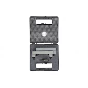 Piges de calage moteur HP ZUP 911 010 00