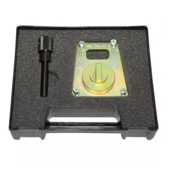 Piges de calage moteur HP ZUP 904 021 00