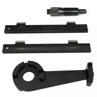 Piges de calage moteur HP ZUP 911 009 00
