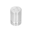 Piston, étrier de frein OE 4773142020 - Visuel 2