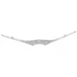 Baguette et bande protectrice, grille de radiateur OE 527190D900 - Visuel 2