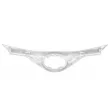 Grille de radiateur OE 53111F4901 - Visuel 2