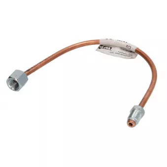 Flexible de frein WP 091