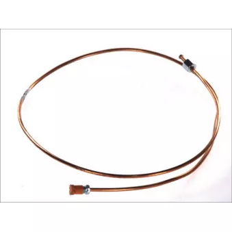 Flexible de frein WP 198