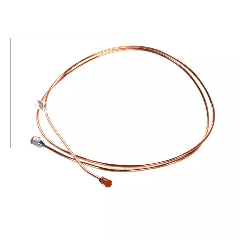 Flexible de frein WP 843