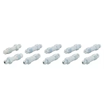Purgeur de frein WP WP5-300-0108/10