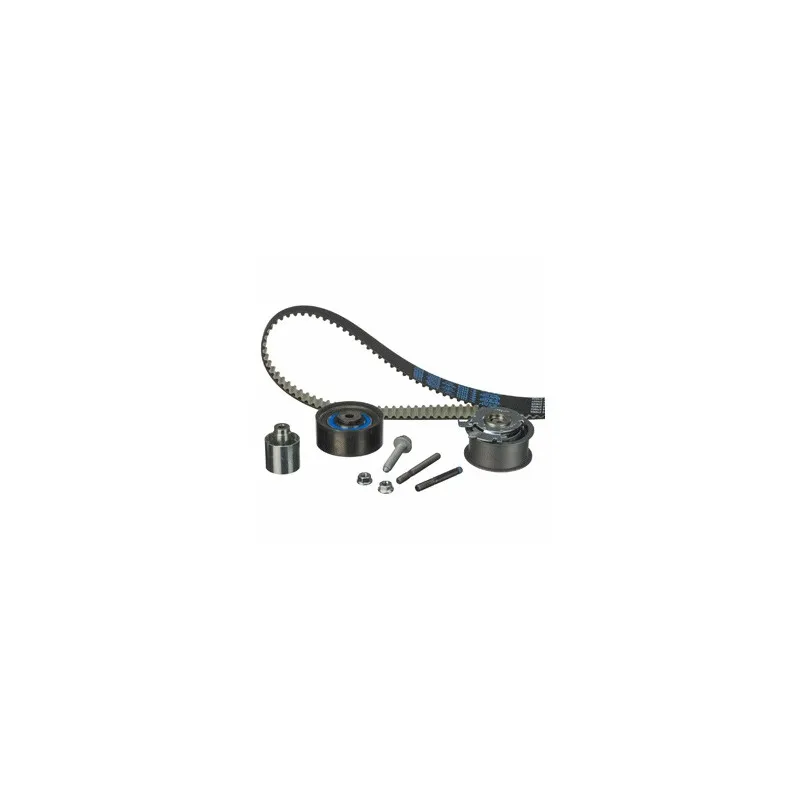 Kit de distribution DELPHI KDB441