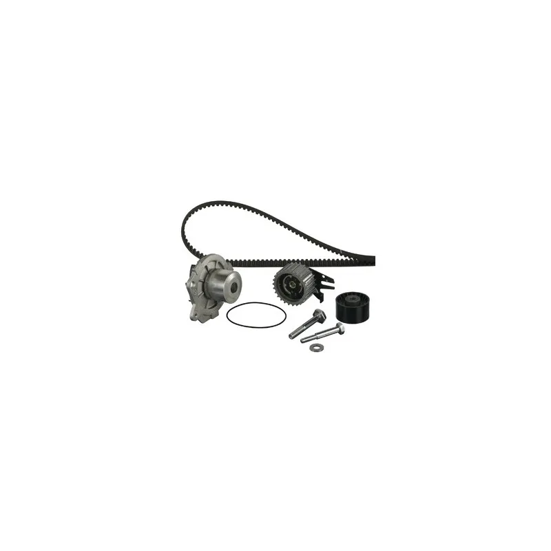 Pompe à eau + kit de courroie de distribution DELPHI KWP1898317